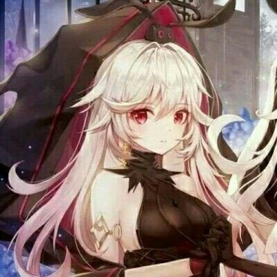 公司倒闭5只猫被法拍