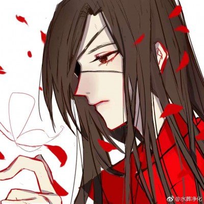 武汉植物园隔笼展出活体罂粟
